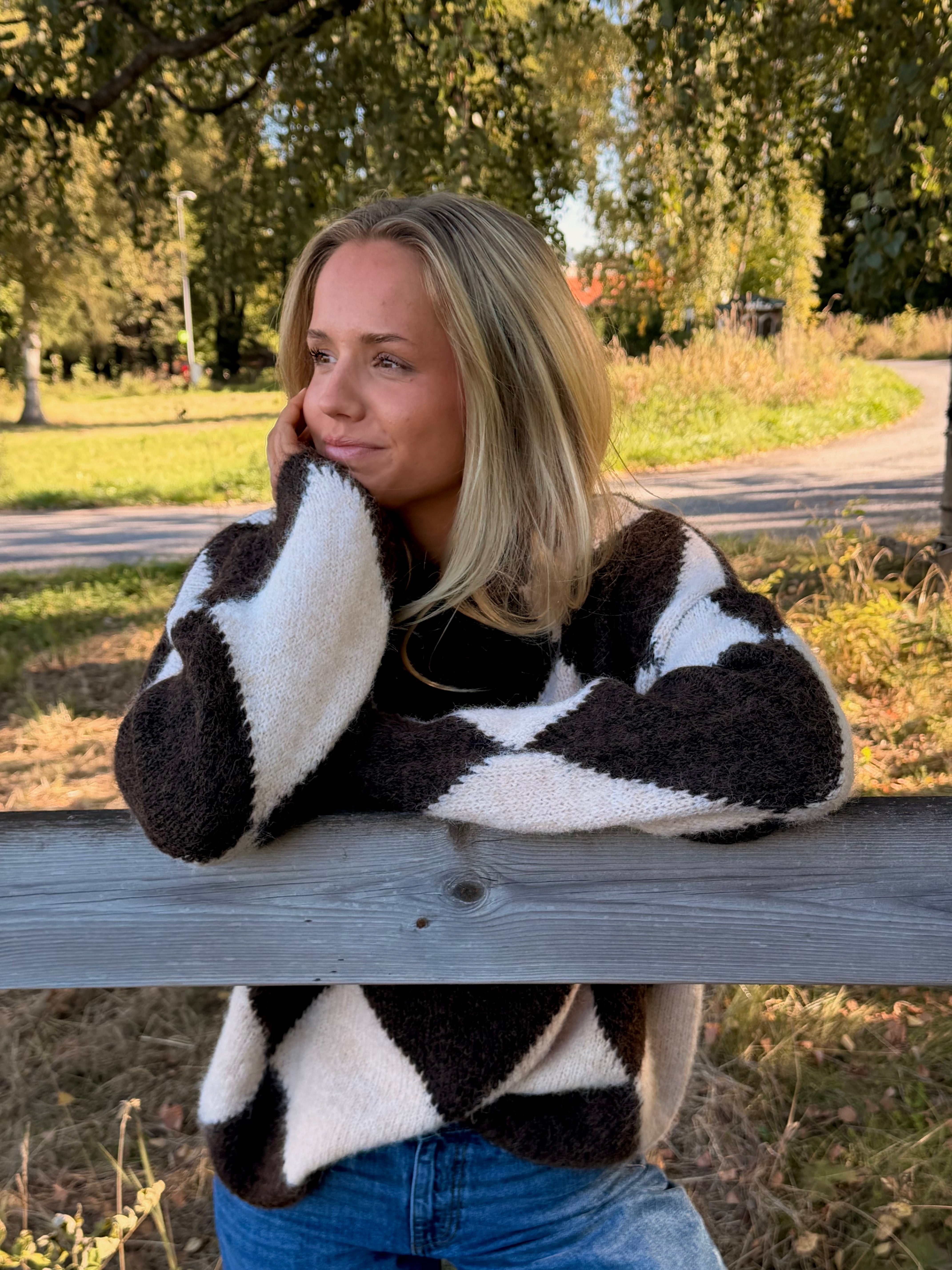 NMSUTTON KNIT - Chocolate Torte